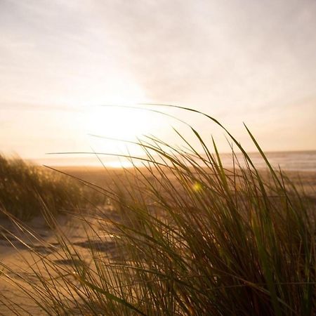 Kleine Nordseewelle Ohne Hund نوردين المظهر الخارجي الصورة
