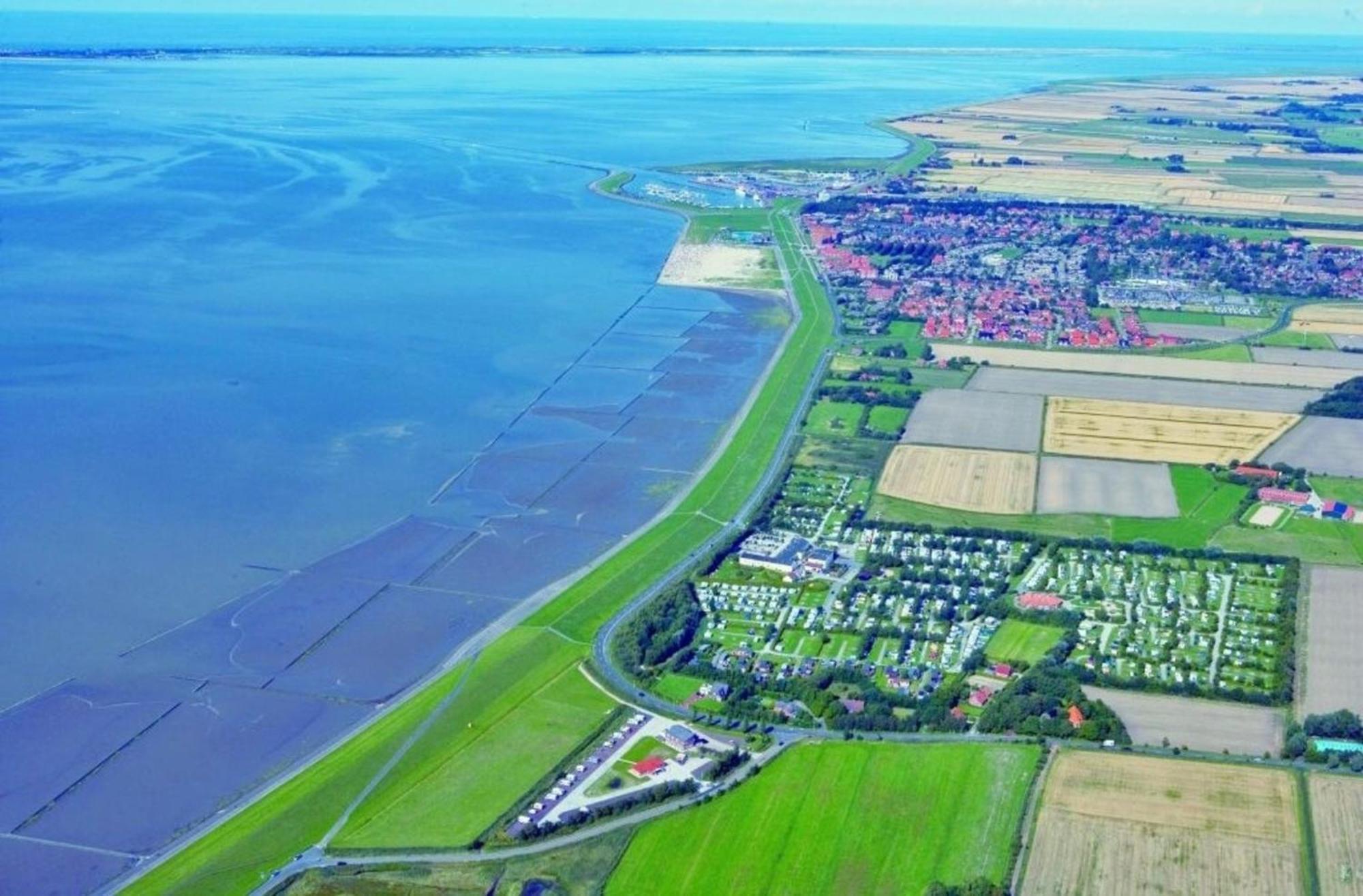 Kleine Nordseewelle Ohne Hund نوردين المظهر الخارجي الصورة